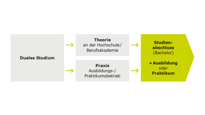 Grafik Dual Studierende